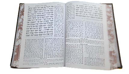 3D Leather Fur Chamisha Chimshei Torah